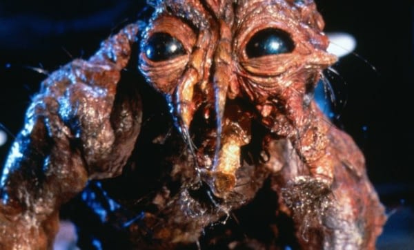The Fly 1986 Cinemaniacs